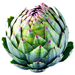 Artichoke Side View Png Srq64 PNG Image