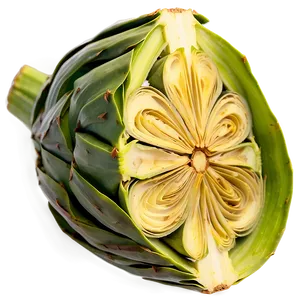 Artichoke Slice Png Dth78 PNG Image