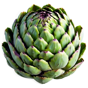 Artichoke Texture Png 06252024 PNG Image