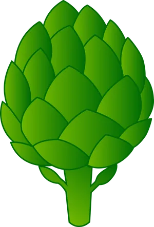 Artichoke Vector Illustration PNG Image