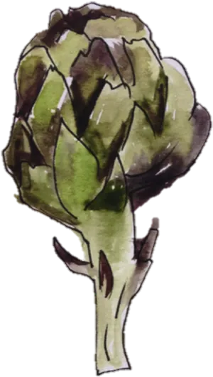 Artichoke Watercolor Illustration PNG Image