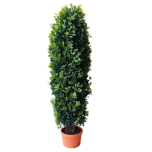 Artificial Boxwood Png 70 PNG Image