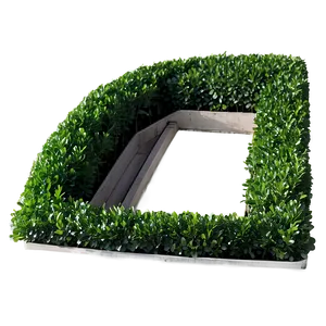 Artificial Boxwood Png Ckr PNG Image