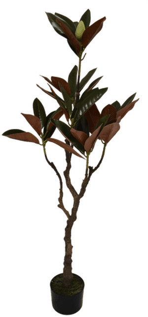 Magnolia Tree - Artificial Plant - Twig, HD Png Download PNG image with transparent background