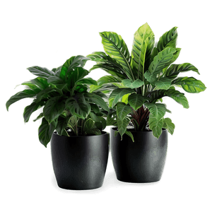 Artificial Potted Plants PNG 87 PNG