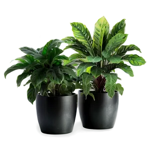 Artificial Potted Plants Png 87 PNG Image