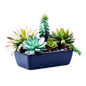 Artificial Succulents Design Png Yel85 PNG Image