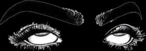Whatever Edit Eyebrows Eyes Rollingeyes Sticker Lashes - Twitter Header Eyes, HD Png Download PNG image with transparent background