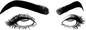 Artistic Eyesand Lashes Illustration PNG Image