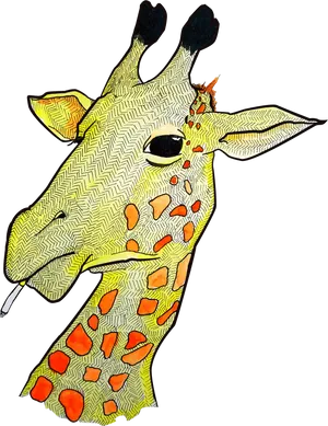 Artistic Giraffe Portrait PNG Image