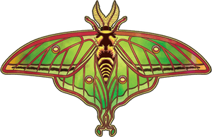 Transparent Moths Png - Moth, Png Download PNG