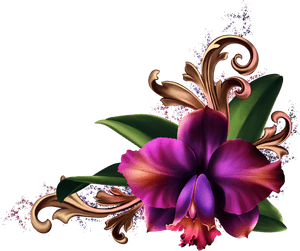 Romantic Orchids Borders And Frames, Flower Art, Dividers, - Orchid And Lily Floral Border Png, Transparent Png PNG image with transparent background