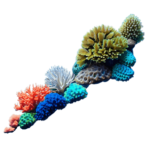 Asia Underwater Coral Reef PNG 06232024 PNG image with transparent background