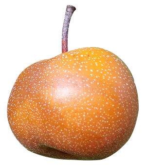 Asian Pear Fruit Photo PNG Image