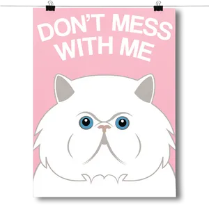 Assertive Persian Cat Poster PNG Image