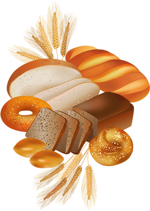 Food Clipart Bread - Bakery Products Vector Free, HD Png Download PNG image with transparent background