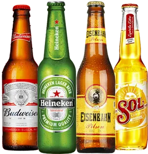 Assorted Beer Bottles Collection PNG Image