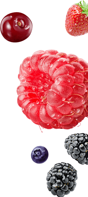 Fruit Snack Clipart - Raspberry, HD Png Download PNG