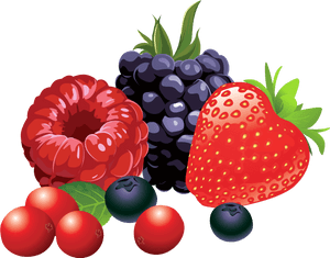 Assorted Berries Illustration PNG image with transparent background