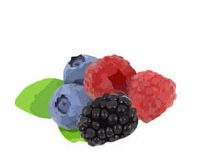 Assorted Berries Illustration PNG image with transparent background