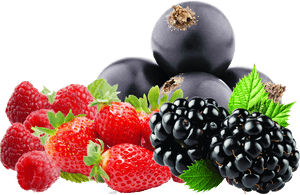 Assorted Berries Transparent Background PNG image with transparent background