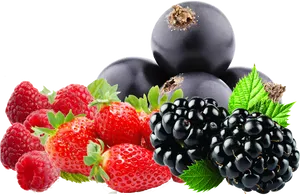 Assorted Berries Transparent Background PNG Image