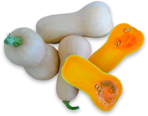 Assorted Butternut Squash Cutand Whole PNG Image