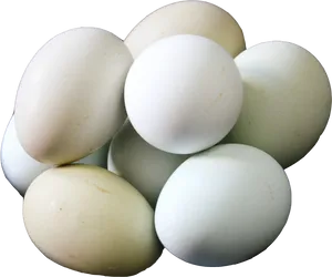 Assorted Chicken Eggs Black Background PNG Image