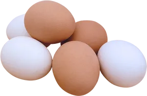 Assorted Chicken Eggson Black Background PNG Image