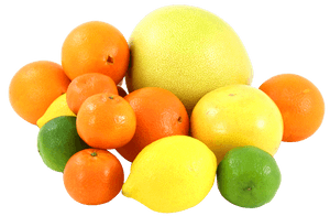 Assorted Citrus Fruits Collection PNG with transparent background