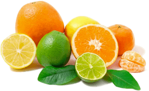 Lemon Fruit Png - Citrus Fruits Transparent Background, Png Download PNG