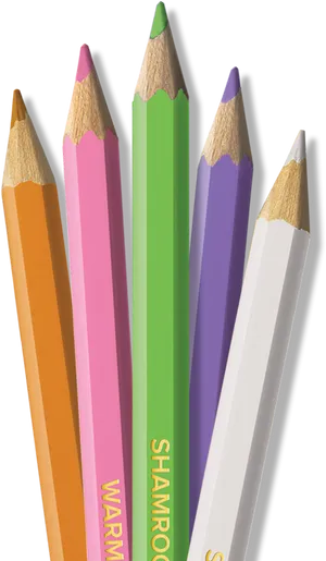 Assorted Colored Pencils PNG Image