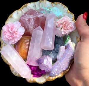 Assorted Crystalsand Flowersin Shell PNG image with transparent background