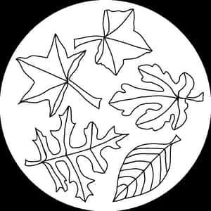 Fall Leaf Coloring Pages, HD Png Download PNG image with transparent background