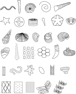 Fossil Symbols, HD Png Download PNG with transparent background