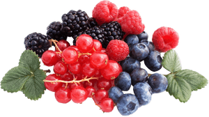 Berries Png File - Berries Png, Transparent Png PNG image with transparent background