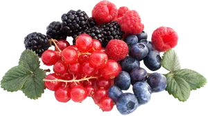 Assorted Fresh Berries Transparent Background PNG Image