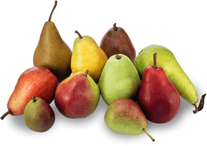 Adults Who Eat Pears Less Likely To Be Obese - 10 Pears, HD Png Download PNG with transparent background