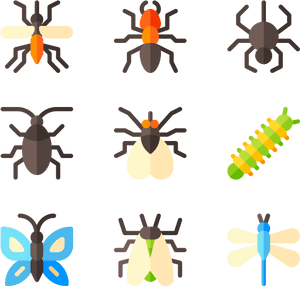 Insects, HD Png Download PNG image with transparent background