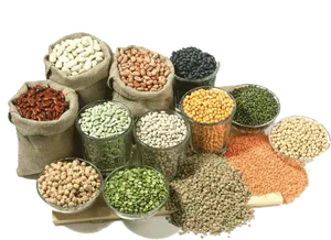 Assorted Legumesand Beans Display PNG Image