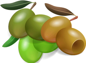 Olive Clipart Black Plum - Olive Cartoon Transparent Background, HD Png Download PNG with transparent background