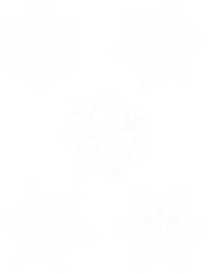 Assorted Snowflake Designs PNG Image