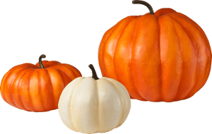 Pumpkin Pie Zucchini Vegetable - Pumpkin Png, Transparent Png PNG with transparent background