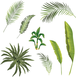 Palm Tree Branch Png - Watercolor Palm Png Transparent, Png Download PNG image with transparent background