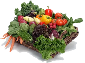 Assorted Vegetablesin Basket PNG Image
