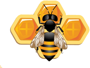 Astrological_ Bee_and_ Honeycomb_ Symbols PNG with transparent background