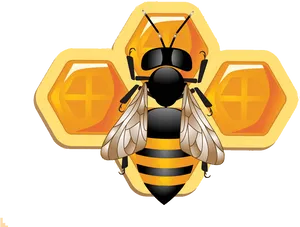 Astrological_ Bee_and_ Honeycomb_ Symbols PNG Image