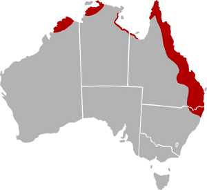 Distribution Map Of Cressida Cressida In Australia - Small Picture Of Australia, HD Png Download PNG with transparent background