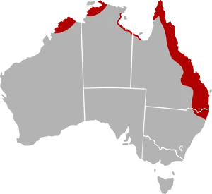 Australia Map Queensland Highlighted PNG Image