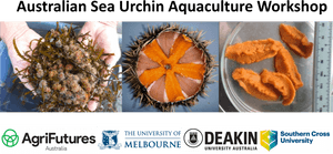 Pic - University Of Melbourne, HD Png Download PNG image with transparent background